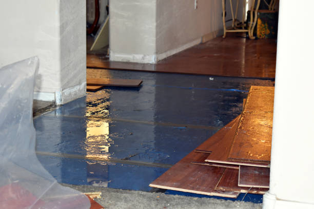 Professional Emergency Water Damage Restoration technician working in Fieldton, TX